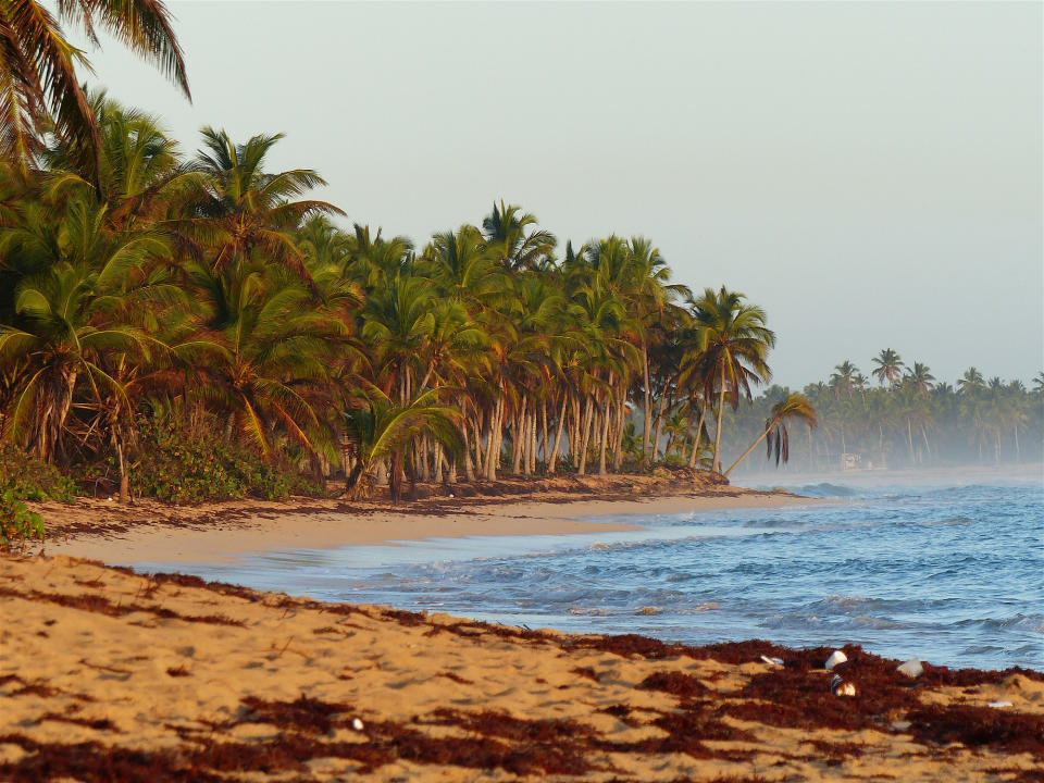 A beach in the Dominican Republic