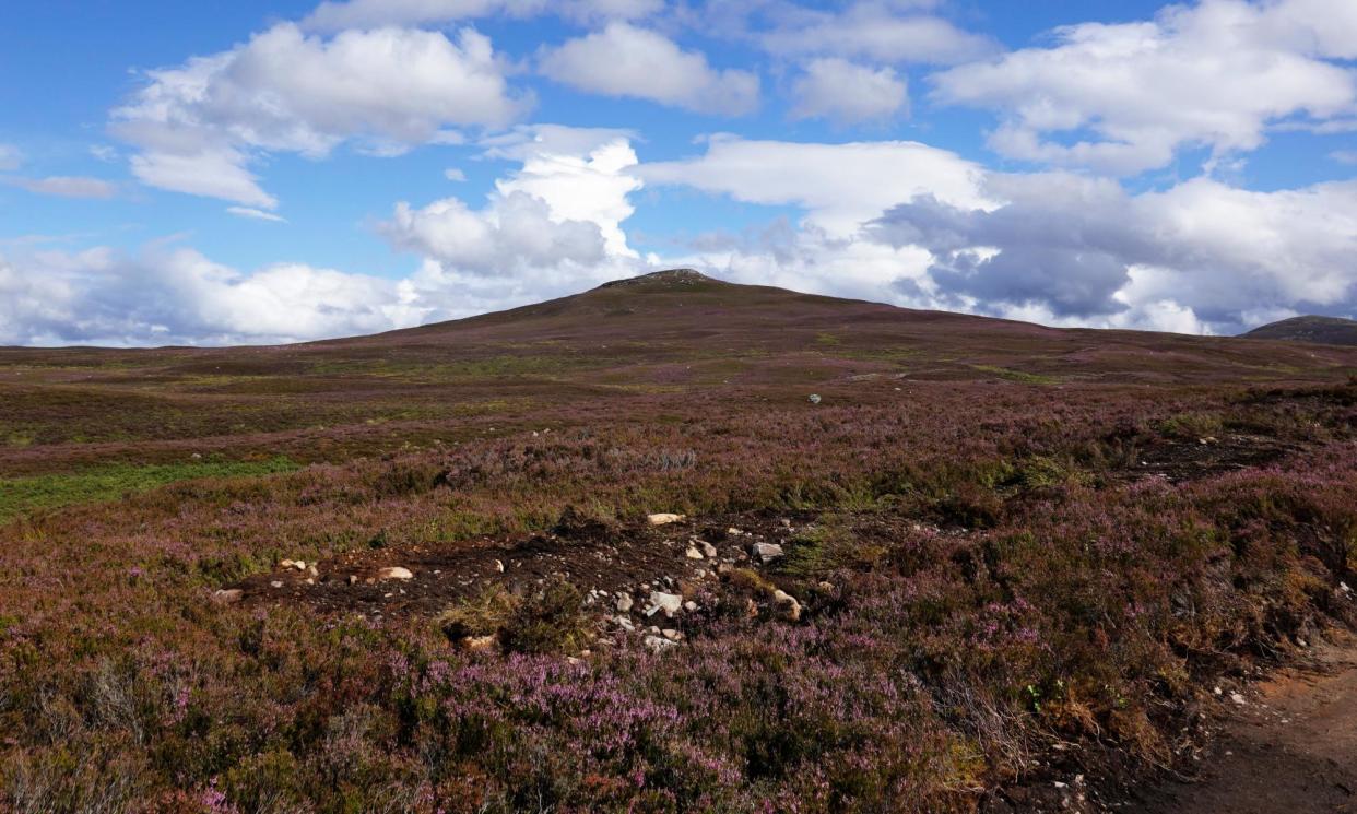 <span>The estate agency selling Far Ralia said buyers could use the land to sell carbon credits to corporations.</span><span>Photograph: Murdo MacLeod/The Guardian</span>