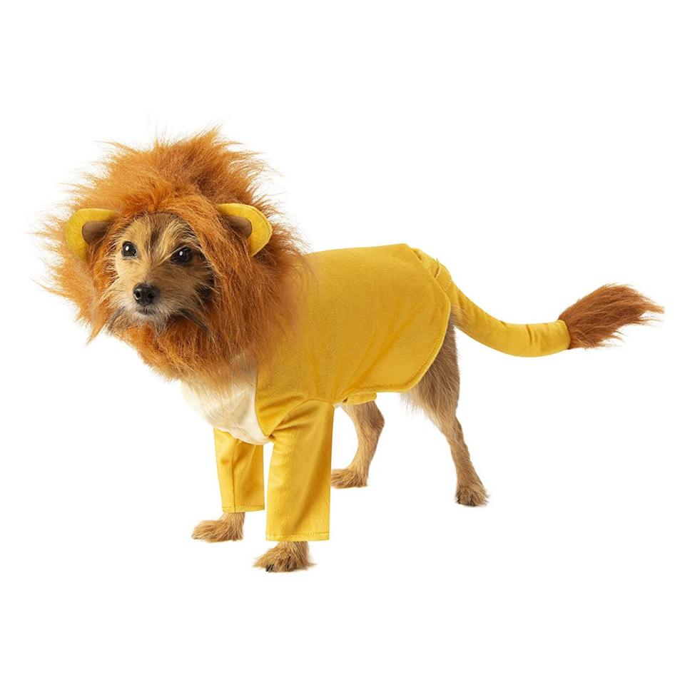 Dog wearing a Rubie’s Simba Pet Costume on a white background