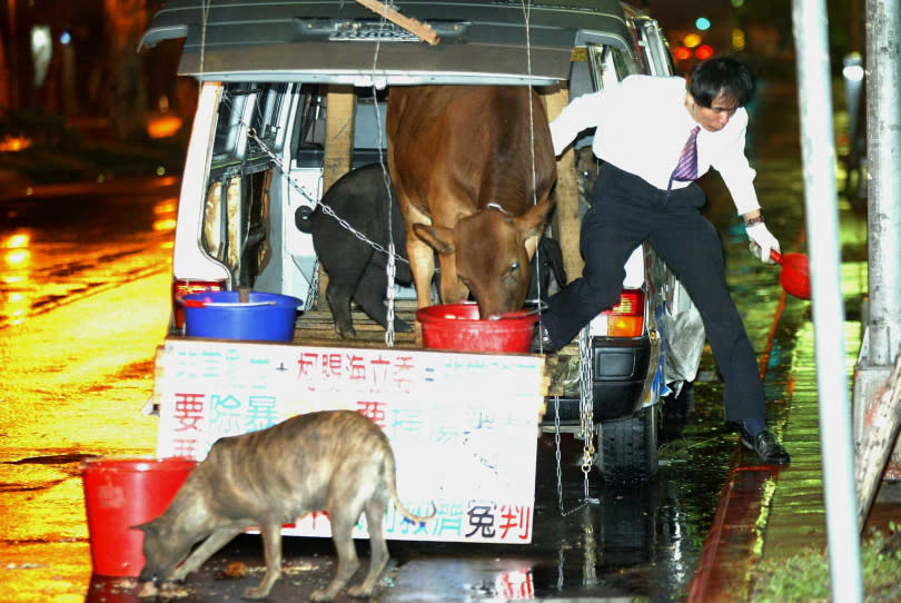 多數民眾對於柯賜海的印象，莫過於他常帶著流浪動物出面抗議，一句「馬英九還我牛」更一度成為網路流行用語。（圖／報系資料照）