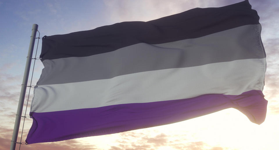 Asexual pride flag. (Getty Images)