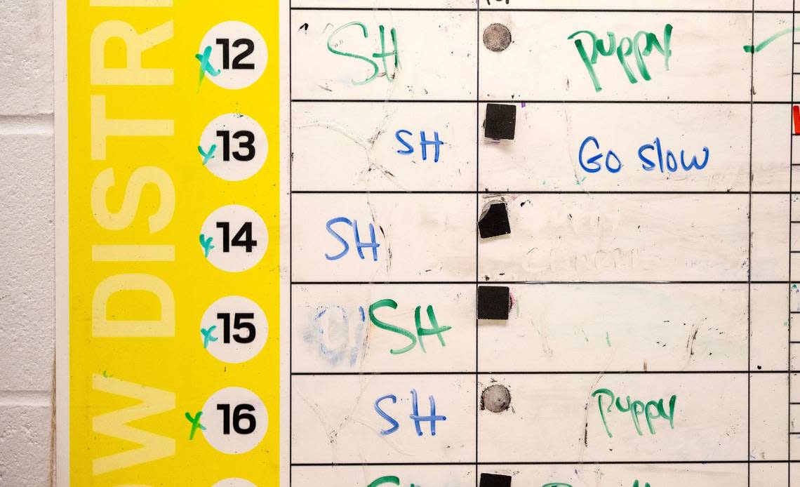A white board marked with “SH” indicates “stray hold” dogs, those found and held at KC Pet Project for five days before being offered for adoption on day six.