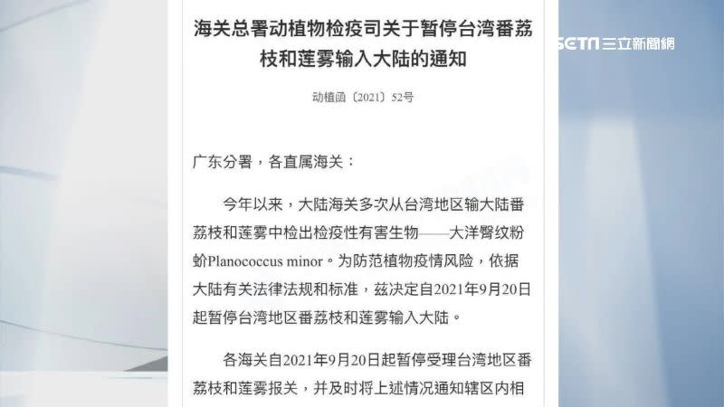 中國海關總署19日9時無預警發函暫停台灣釋迦和蓮霧進口。