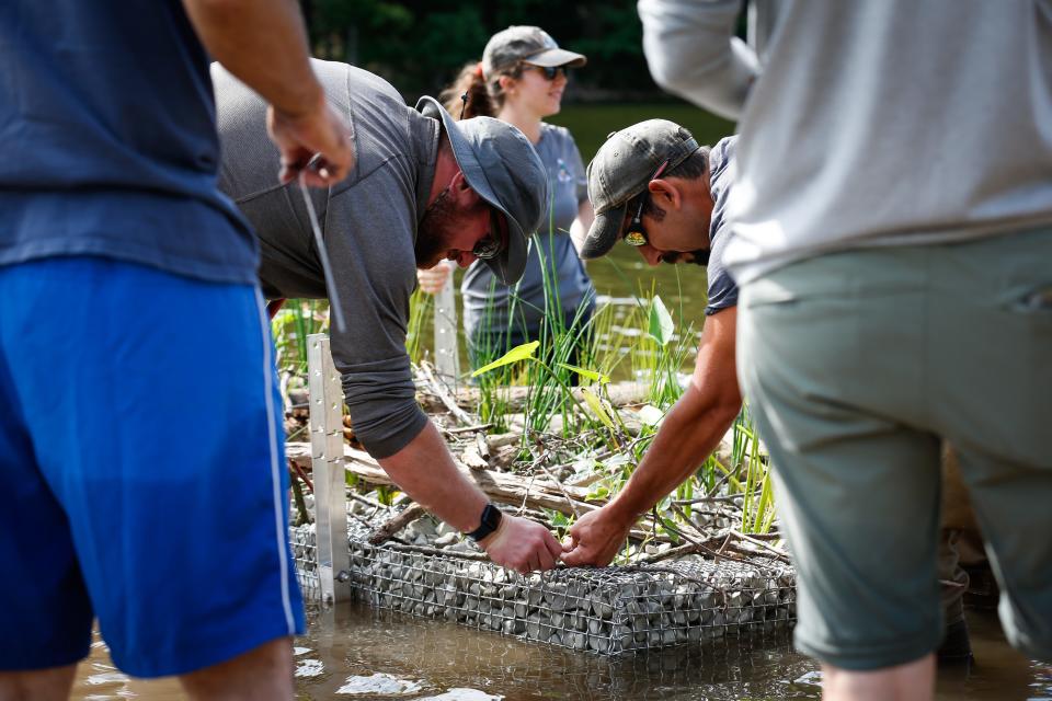 Missouri Department of Conservation, City Utilities and Watershed Committee of the Ozarks staff prepare a floating wetland off the north shore of Fellows Lake on Monday, July 1, 2024.