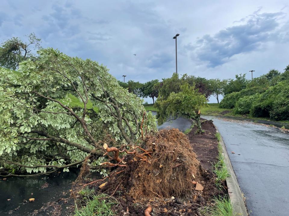 A storm with strong winds damaged trees and buildings in Knox County on Aug. 7, 2023.