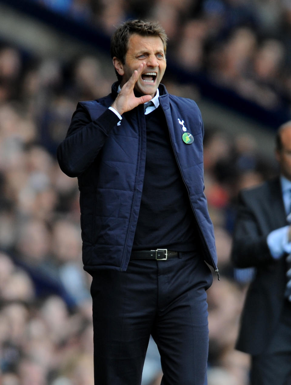 Tottenham Hotspur manager Tim Sherwood shouts instructions to his players during the English Premier League soccer match between West Bromwich Albion and Tottenham Hotspur at The Hawthorns Stadium in West Bromwich, England, Saturday, April 12, 2014. (AP Photo/Rui Vieira)