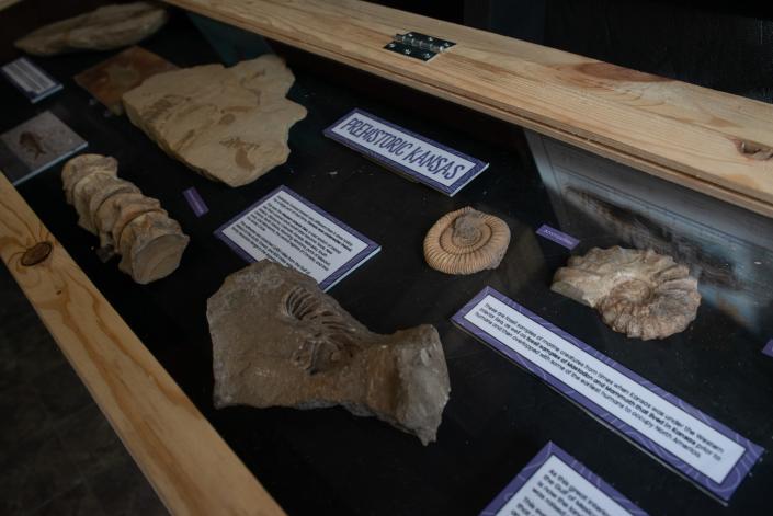 Fossils found in Kansas are part of the &quot;Dinosaurs Alive!&quot; exhibit at the Topeka Zoo.