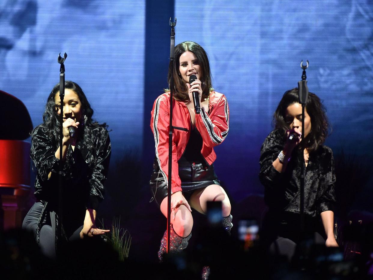 Lana Del Ray performing in New Jersey a week before the incident: Getty Images