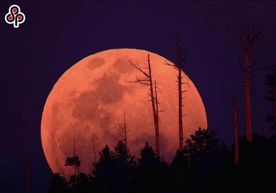 「血月」月全食天文奇景將在今（8日）晚6時16分登場。(資料照)