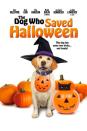 <p>Joey Lawrence plays a talking dog named Zeus and Mayim Bialik voices the scary canine he goes up against. Seriously, it doesn't get better than that.</p><p><a rel="nofollow noopener" href="https://www.amazon.com/Dog-Who-Saved-Halloween/dp/B005KTW68A/" target="_blank" data-ylk="slk:BUY NOW;elm:context_link;itc:0;sec:content-canvas" class="link ">BUY NOW</a></p>