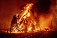 Flames leap from trees as the Oak Fire crosses Darrah Rd. in Mariposa County, Calif., on Friday, July 22, 2022. (AP Photo/Noah Berger)
