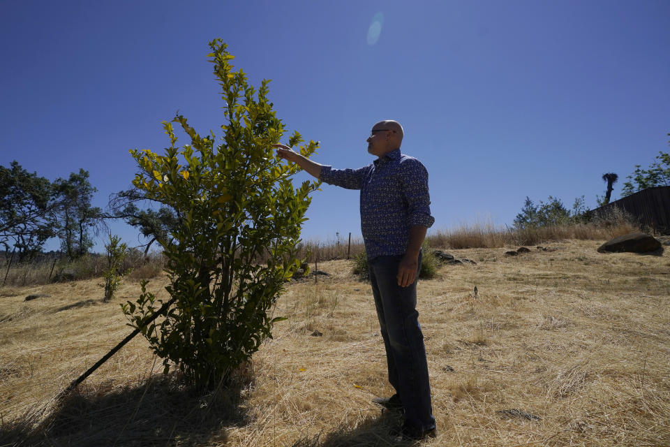 Will Abrams walks on the lot of his family home that was destroyed by wildfires in 2017 while interviewed in Santa Rosa, Calif., Thursday, June 24, 2021. Pacific Gas & Electric's CEO is pledging that the future will get “easier” and “brighter.” But those words are ringing hollow one year after PG&E emerged from a complex bankruptcy triggered by a succession of harrowing wildfires ignited by its long-neglected electrical grid. (AP Photo/Jeff Chiu)