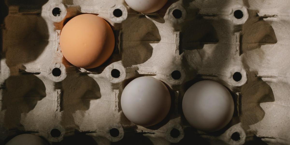 What's causing Australia's egg shortage? A shift to freerange and