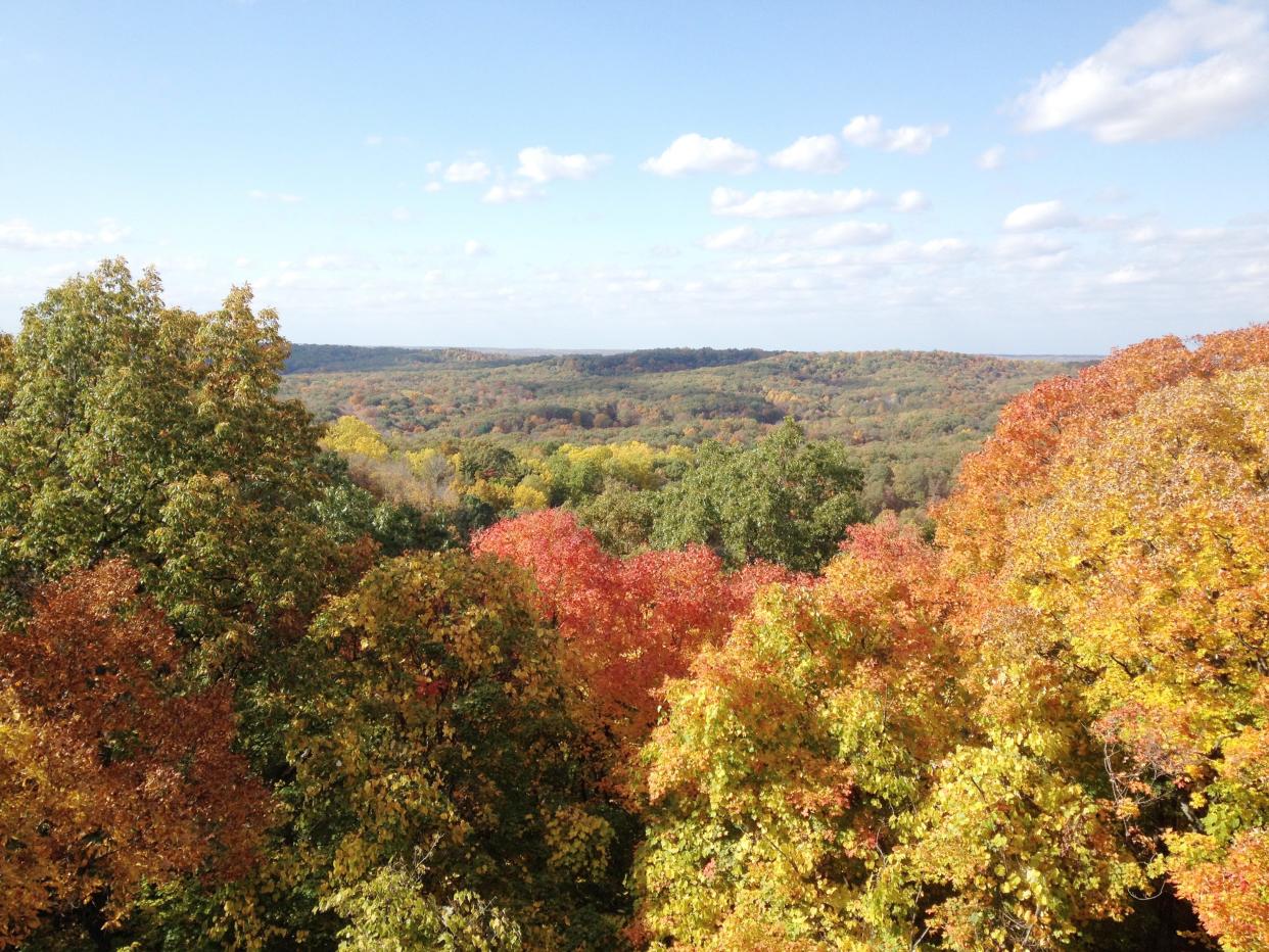 The scene from the top of the Hickory Ridge Lookout Tower in the Charles C. Deam Wilderness shows the fall colors for miles.