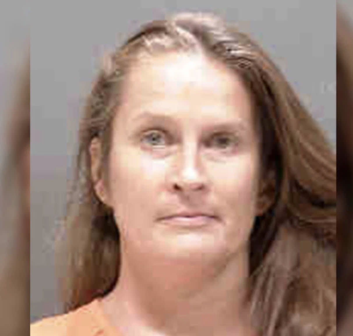 Heather Carpenter, a former substitute teacher at Phillippi Shores Elementary School, has been charged with criminal mischief for smearing feces at a public park. (Photo: NYPost.com)