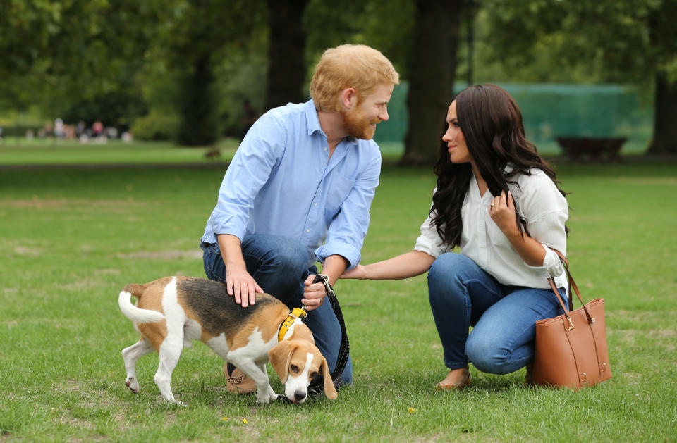 The fake Duke and Duchess of Sussex walk through London's Battersea Park. The REAL royals have reportedly adopted a dog together. (Photo: Isabel Infantes/PA Images/INSTARimagescom)