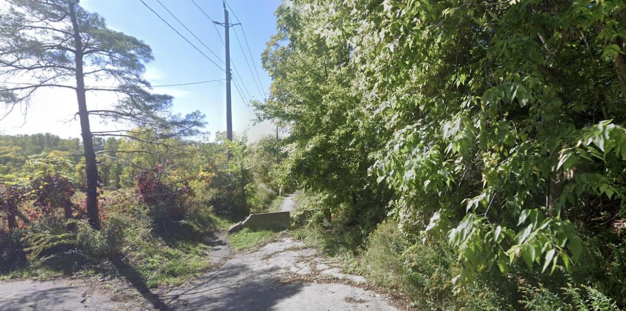 A section of the walking trail between Veterans Memorial Parkway and Bell Lane in Brantford is seen in an image from Google Maps. (Courtesy of Google Maps - image credit)