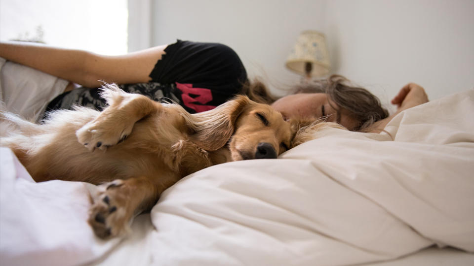 How much sleep do you need? A woman sleeping with her pet dog.