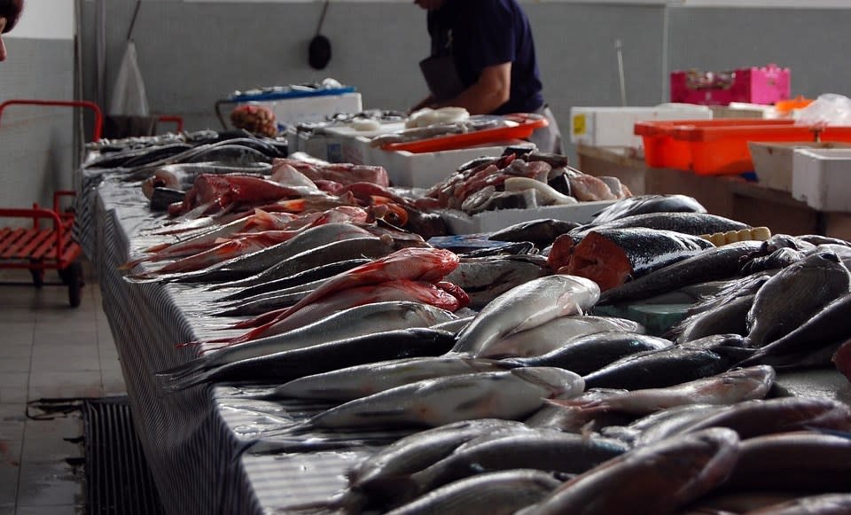 香港近期有7人疑因淡水魚所傳播的乙型鏈球菌而死亡，患者當中有廚師及魚販。（示意圖／圖取自Pixabay圖庫）