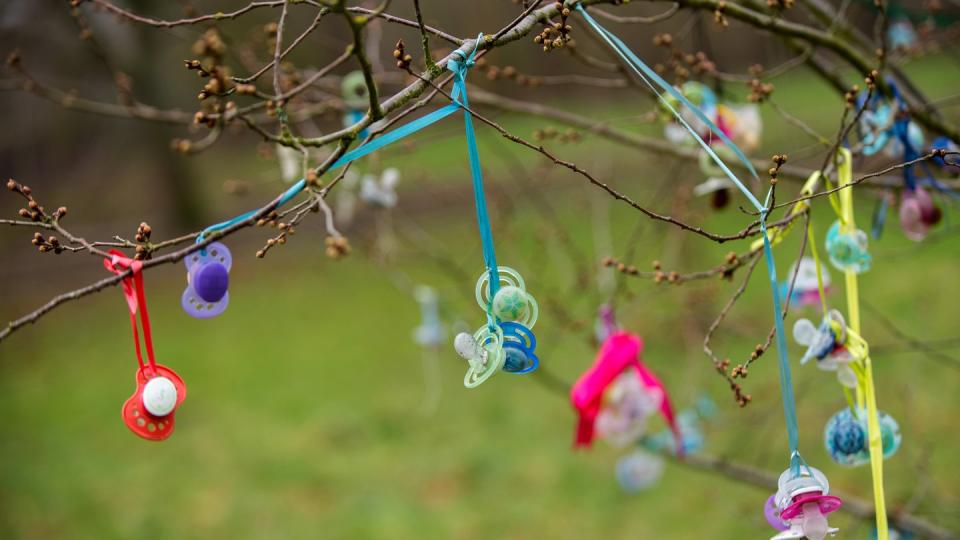 Bunte Schnuller hängen an einem Baum. Früher wurden mehr Kinder im Frühjahr geboren, heute im Sommer. Doch warum?