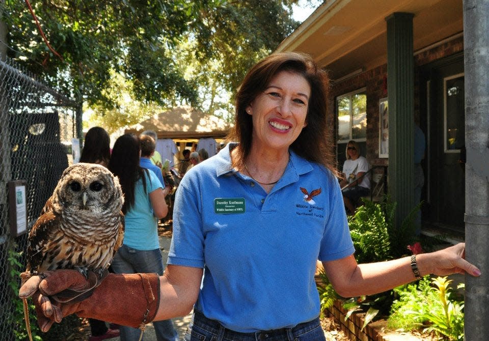 Dorothy Kaufmann, late director of the Wildlife Sanctuary of Northwest Florida, is pictured with the Sanctuary's resident owl, Chancey.