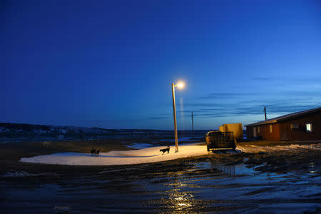 A dog stands guard outside of a community center where the Fort Laramie treaty riders will sleep for a night on the Cheyenne River Reservation in Bridger, South Dakota, U.S., April 15, 2018. REUTERS/Stephanie Keith