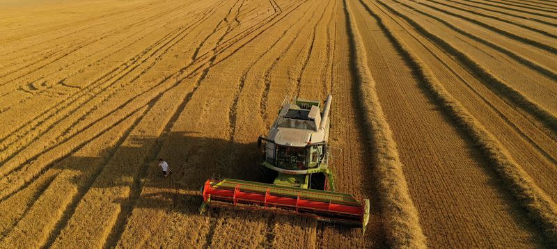 FOTO DE ARCHIVO. Un agricultor francés cosecha su campo de trigo durante el atardecer, en Blecourt, Francia