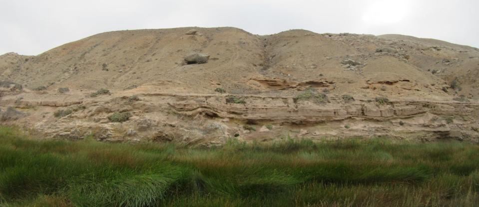 Sedimentos depositados por las inundaciones del río Copiapó sobre la roca en la que está encajado a varios metros por encima del canal actual (vegetado). Durante las inundaciones de 1888 y 1655 el agua alcanzó 4 y 5 m respectivamente sobre el nivel canal. Tatiana Izquierdo