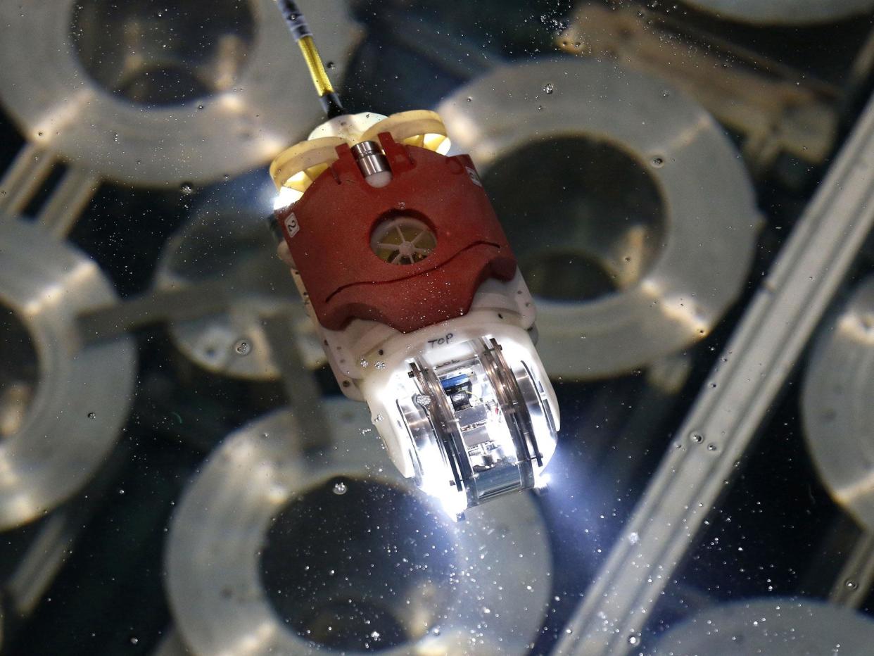 The 'Little Sunfish' robot for underwater investigation at the Fukushima's damaged reactor moves in the water at a Toshiba Corp test facility in Yokosuka, near Tokyo: AP/Shuji Kajiyama