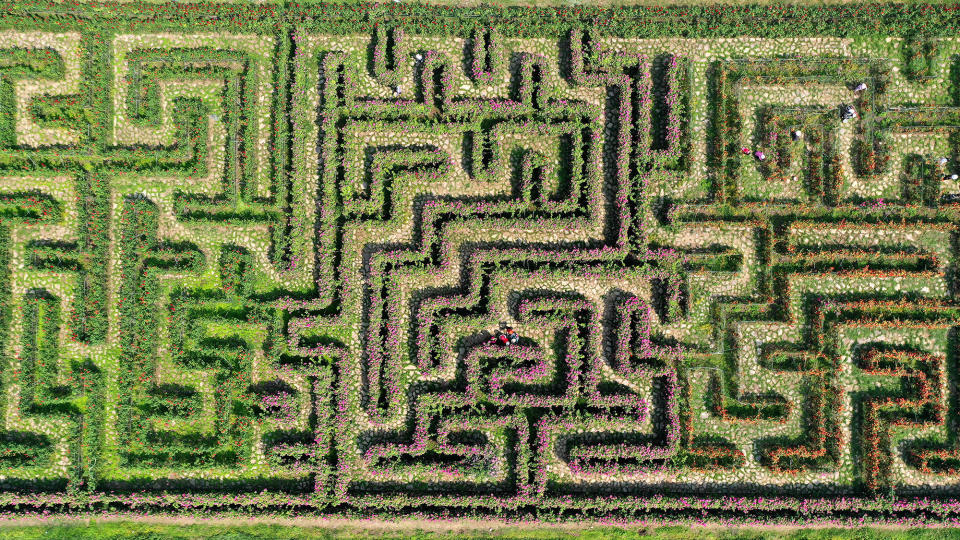 An aerial view of tourists playing at a flower maze on April 11 in Anlong County, Qianxinan Buyei and Miao Autonomous Prefecture, Guizhou province, China