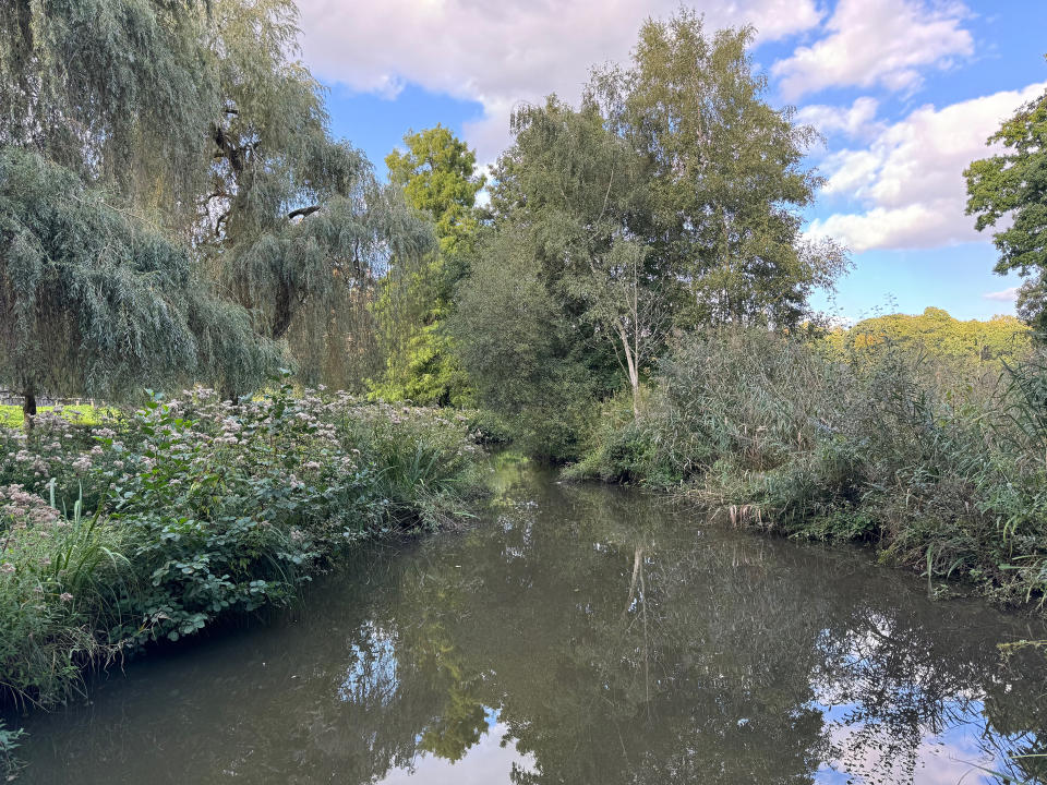 iPhone 15 Pro camera sample stream 24mm