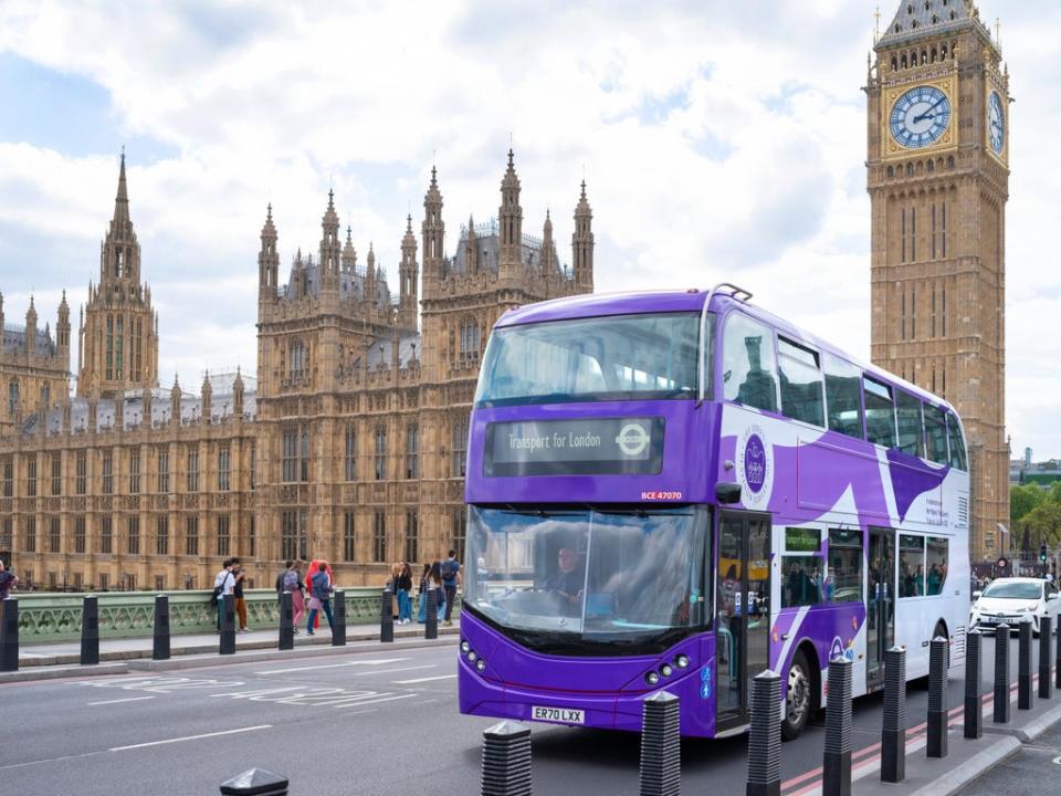 TfL said it hopes people will &#x002018;enjoy looking out for our celebratory bus wraps&#x002019; (TfL/PA)