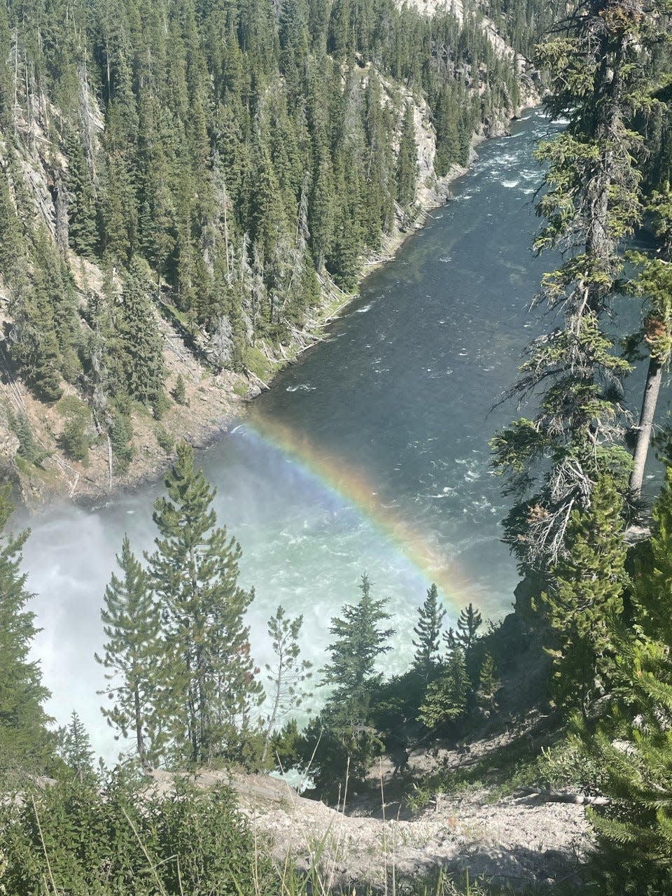 Upper falls of the Yellowstone River.