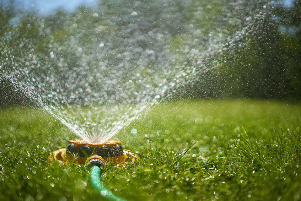 Die Veranstalter des Wettbewerbs "Der hässlichste Rasen der Welt" setzen sich für eine weltweite Regulierung des Wasserverbrauchs ein. (Symbolbild: Getty Images)