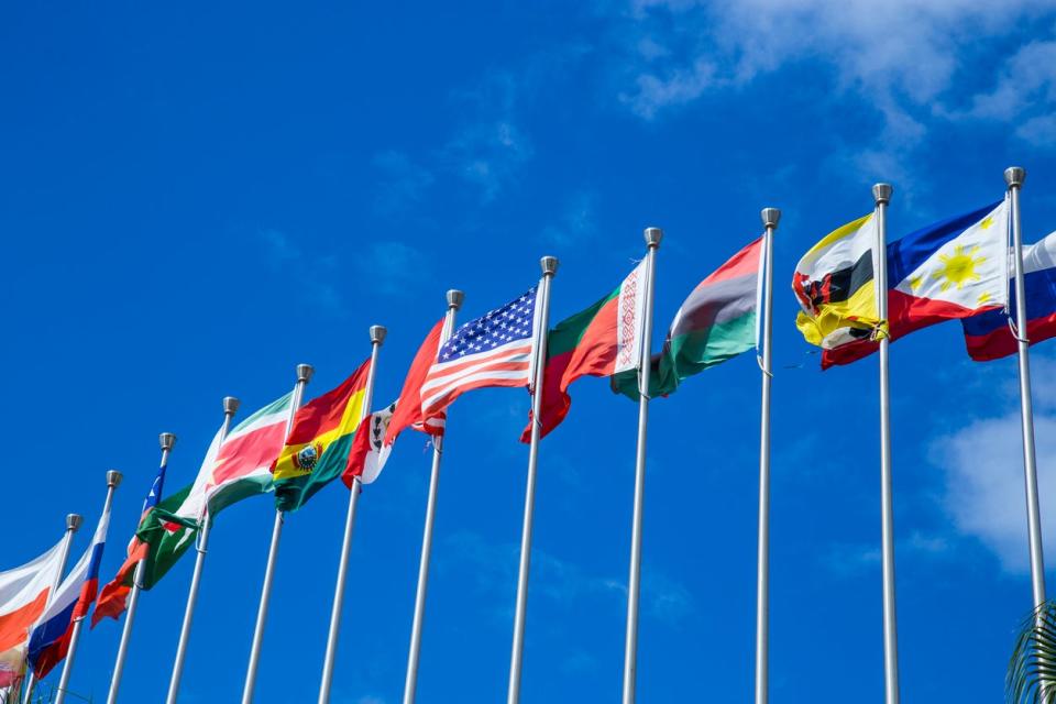 line of international flags waving against a blue sky