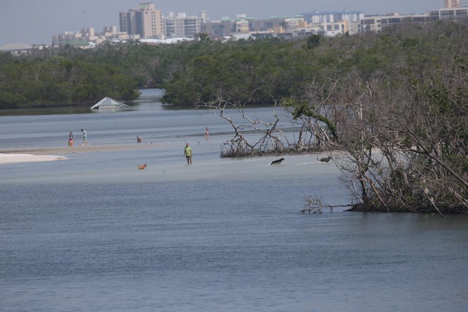 Dogs and their owners hang out at Bonita Dog Beach on Tuesday, July 11, 2023. Parts of Southwest Florida and South Florida are under a heat advisory through the next couple of days. 