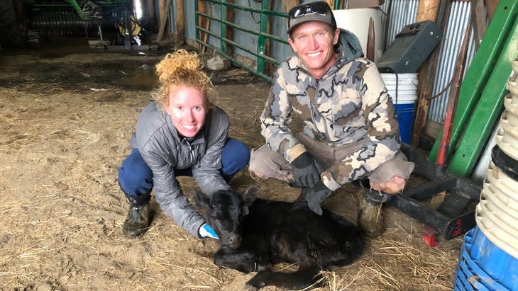 two people are with a baby calf in a barn