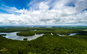 The photo shows the Amazon forest, Brazil.