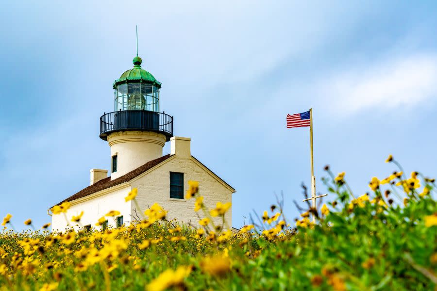 Cabrillo National Monument Lighthouse (San Diego Museum Council) 