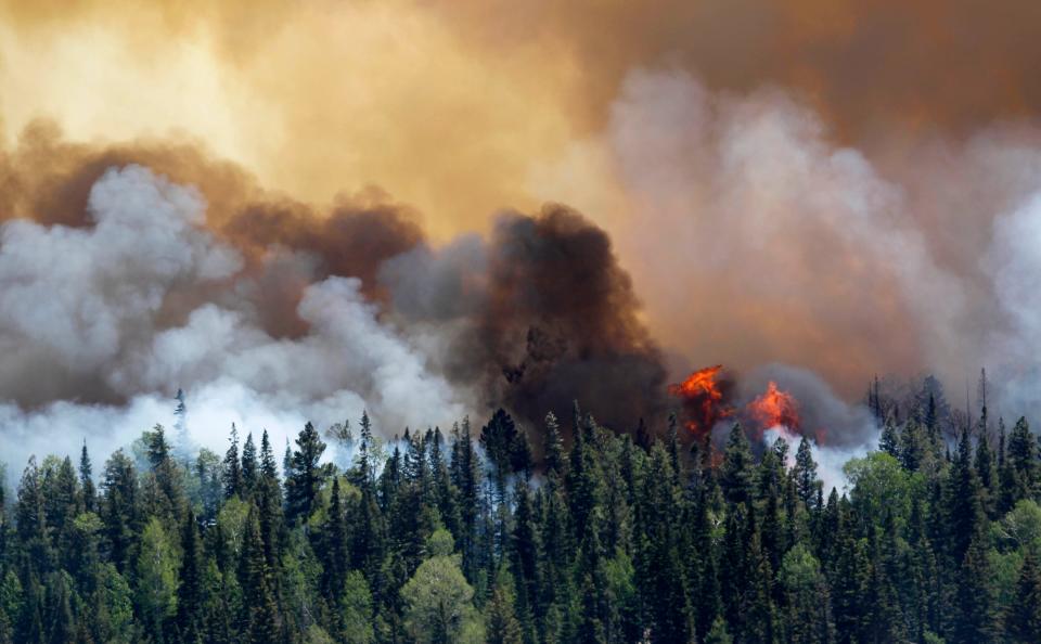 Largest wildfire: In the summer of 2011, the Wallow Fire burned more than 538,000 acres after a campfire was left unattended. It was the largest wildfire in Arizona's recorded history.