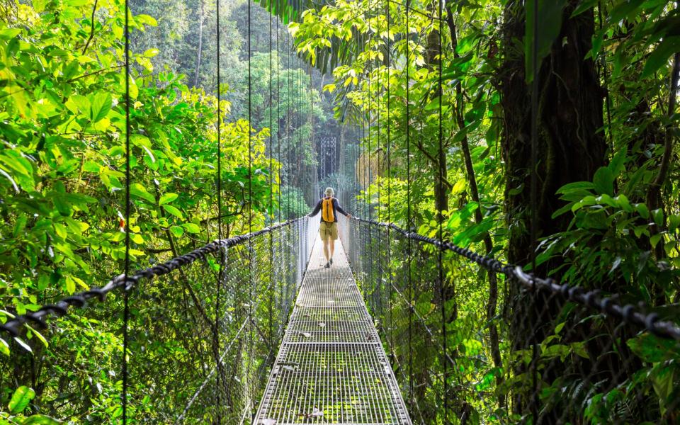 Hiking in green tropical jungle, Costa Rica, Central America