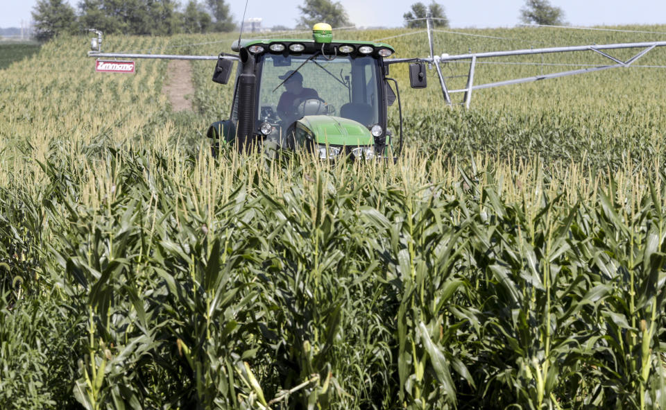 Farmer Tim Novotny, of Wahoo, shreds male corn plants in a field of seed corn, in Wahoo, Neb., Tuesday, July 24, 2018. The Trump administration announced it will provide $12 billion in emergency relief to ease the pain of American farmers slammed by President Donald Trump's escalating trade disputes with China and other countries. (AP Photo/Nati Harnik)