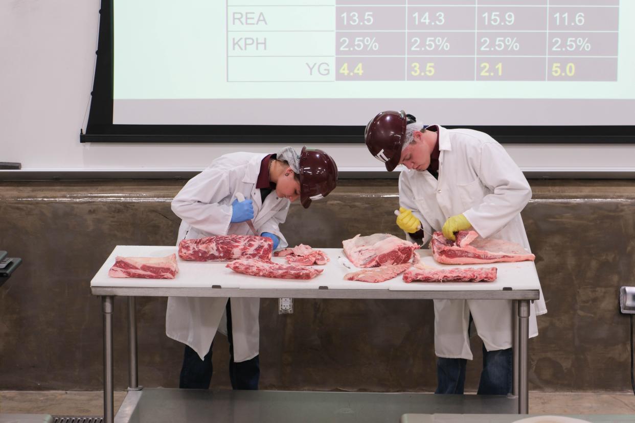 Members of the WT meat judging dissect a slab of beef at a demonstration Tuesday at a One West Campaign Steering Committee Meeting at West Texas A&M.