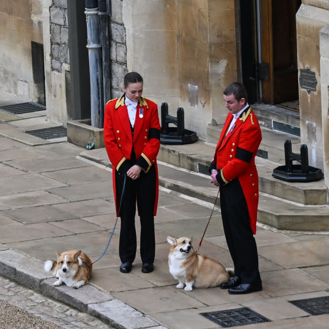 Los corgis de Isabel II se despiden de la soberana en Windsor credit:Bang Showbiz