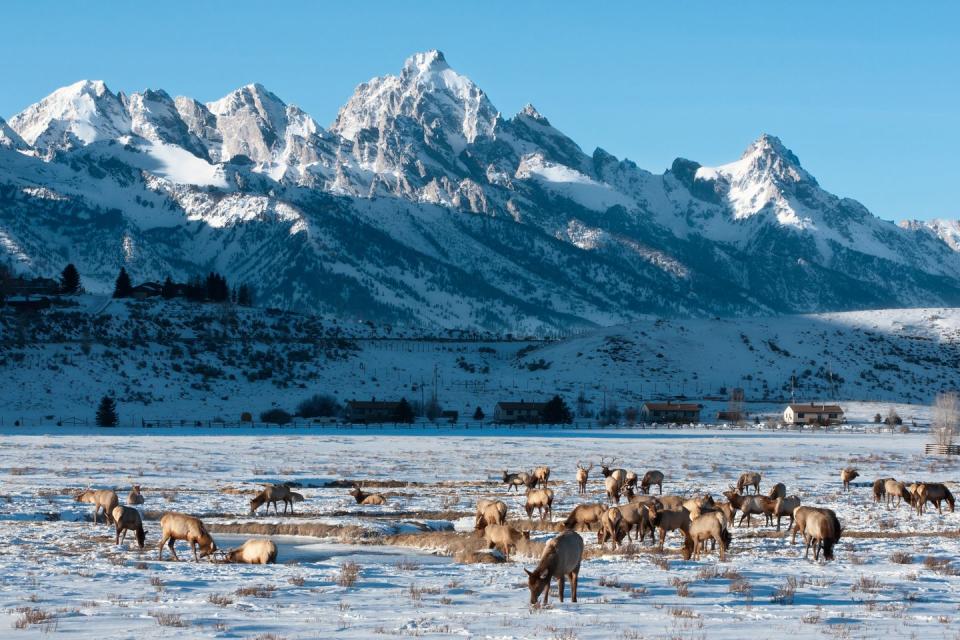 Jackson Hole, Wyoming