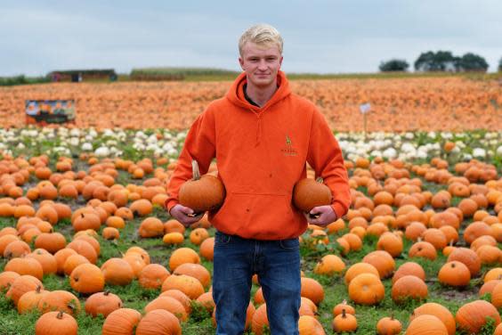 James Maxey first started selling pumpkins when he was 13 years old (SWNS)