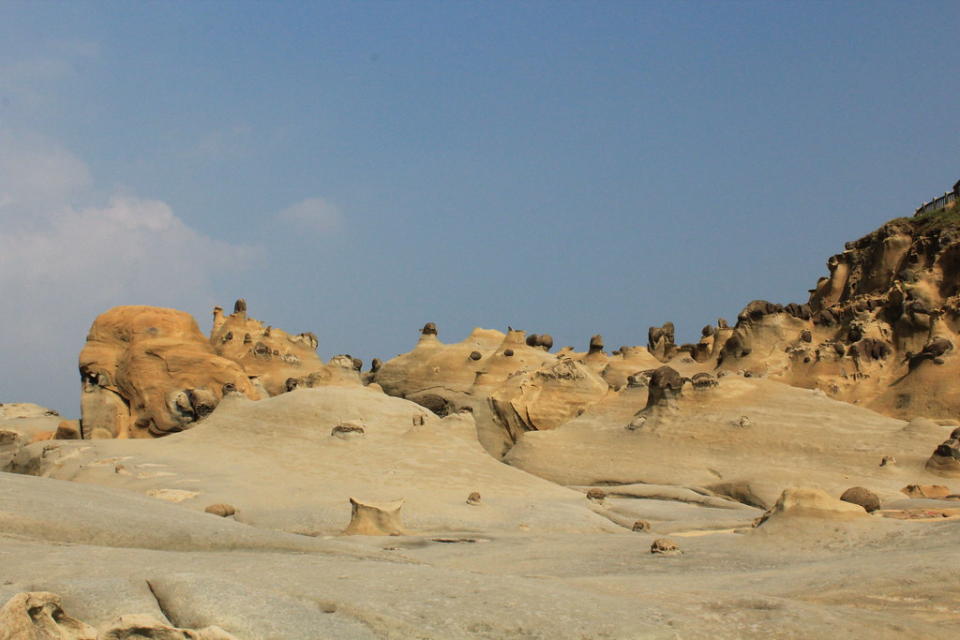 和平島公園一景（Photo Credit: Cactusmorpheus@Flickr, License: CC BY-SA 2.0，圖片來源：https://www.flickr.com/photos/93744908@N06/9715814707）