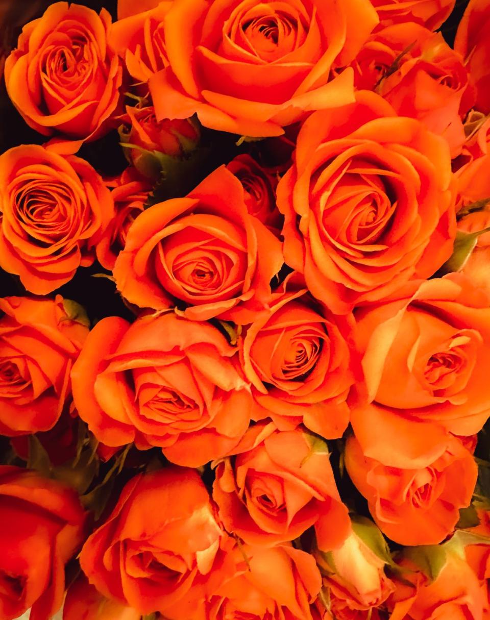 <p>A bouquet of orange blooms makes a strong statement. The fun, fiery color conveys a message of <a href="https://flowerworksmqt.com/blogs/news/what-is-the-symbolism-behind-orange-roses" rel="nofollow noopener" target="_blank" data-ylk="slk:happiness and joy;elm:context_link;itc:0;sec:content-canvas" class="link ">happiness and joy</a>. Give them to friends or family—really anyone who could use a mood-lifter!</p><p><a class="link " href="https://www.amazon.com/Purchase-Delivery-Wednesday-Arabella-Bouquet/dp/B08536KYSV/ref=sr_1_8?tag=syn-yahoo-20&ascsubtag=%5Bartid%7C10050.g.42694899%5Bsrc%7Cyahoo-us" rel="nofollow noopener" target="_blank" data-ylk="slk:Shop Now;elm:context_link;itc:0;sec:content-canvas">Shop Now</a></p>