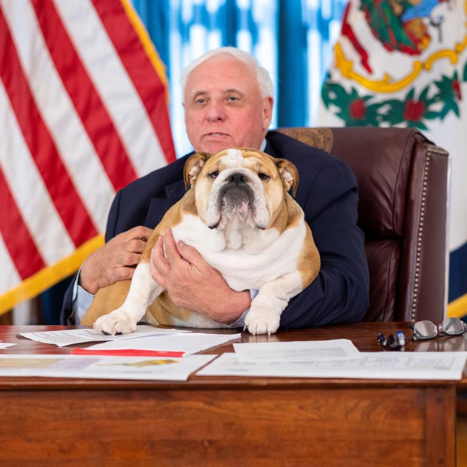 West Virginia governor Jim Justice holds his English bulldog Babydog (Governor Jim Justice)