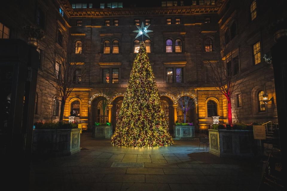 The Lotte’s Christmas Tree has previously been named among the most impressive in the city (Getty Images)
